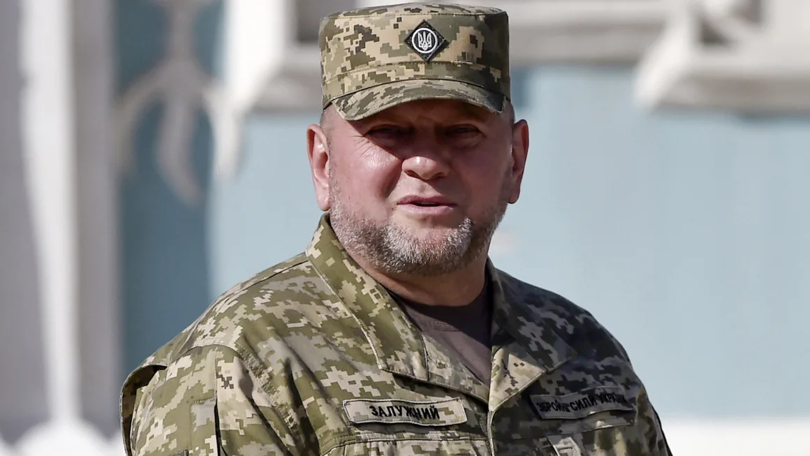 News Eksklusif : Ukraina harus beradaptasi dengan pengurangan bantuan militer Barat, kata panglima militer